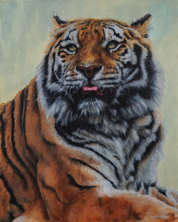 Tiger Animal Portrait Series, by Artist Donald Voelker